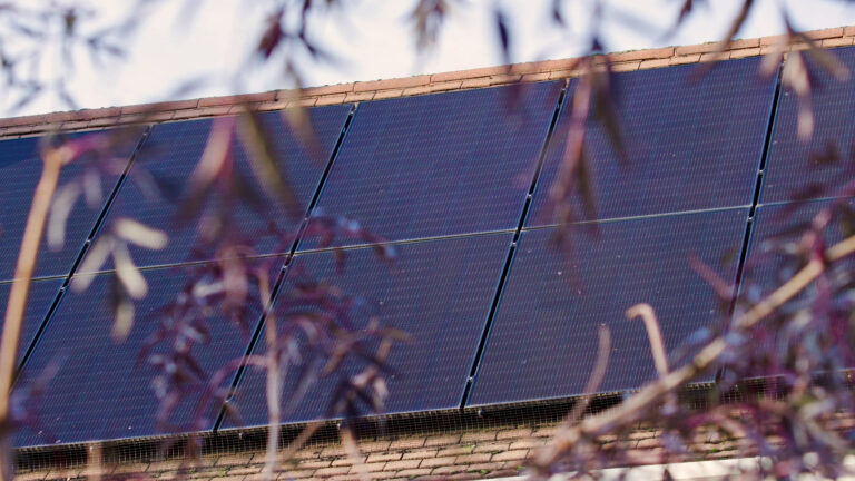 Solar panels on a building roof.